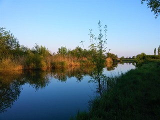 Autumn landscape with a calm quiet river and bushes on the bank