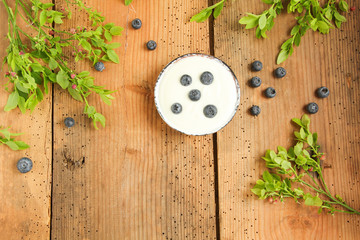 Joghurt Mit Blaubeeren Frühstück