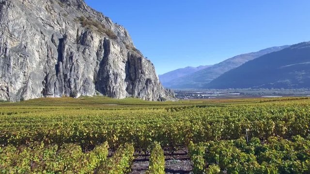 SION, SWITZERLAND - OCTOBER 30, 2016: Scenic aerial shot of the colorful autumn landscape in October and picturesque vineyards around Sion in Wallis - Valais.