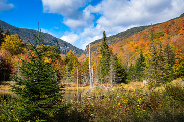 Majestic mountain landscape covered in deciduous trees at the peak of fall foliage with a pond  in foreground on a sunny autumn day.  Stowe, VT, USA.