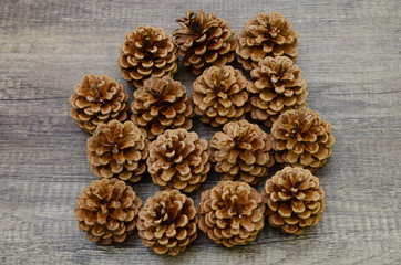 A variety of natural pinecones decoration