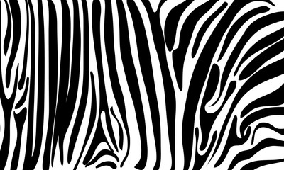 Fototapeta na wymiar zebra skin pattern print pattern vector graphics zebra Skin Background Graphics for Fabric, background, paper