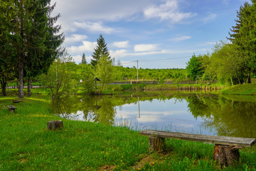 Fototapeta na wymiar Spring view of a forest lake on a sky background 