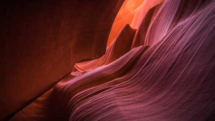 Obraz premium The wave into Lower Antelope Canyon, Arizona, US. In the heart of Lower Antelope Calyon