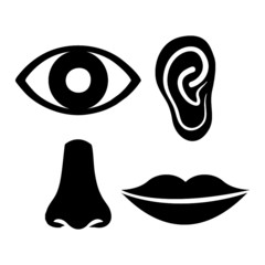 eye, ear, nose, mouth, lips icon vector