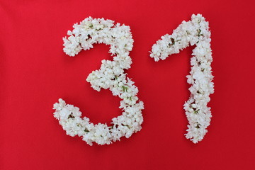 The number 31 is written in white lilac flowers on a red background. The number thirty-one is written in fresh flowers, isolated on red. Arabic numeral lined with flowers