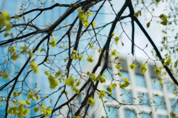 Skyscraper, Business, Skyscraper, Architecture, modernity. Gdansk, Gdynia, Trojmiasto.  © Rafal