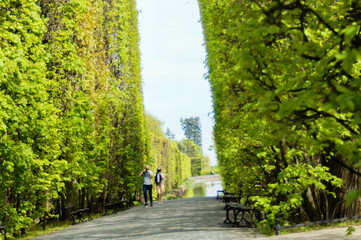 Garden, Gdansk Oliwa Park © Rafal