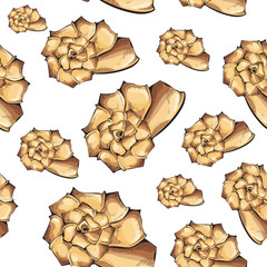 Seamless pattern of shells of different colors