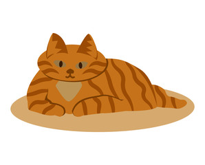Ginger fat tabby cat is lying on the rug. Vector illustration
