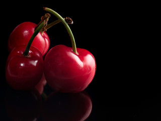 Cerezas (prunus cerasus) con fondo negro