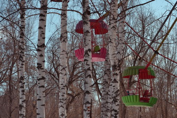  tree in winter