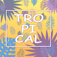 Summer postcard with design of palm trees of tropical leaves.Vector illustration