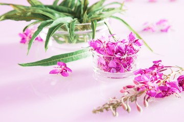 Beautiful spring composition of fresh willow-herb flowers and leaves on pink background