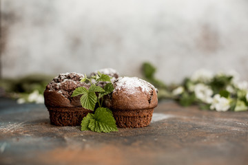 Fototapeta na wymiar Three delicious chocolate muffins on a brown background
