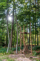 Hochsitz zur Wild Beobachtung
