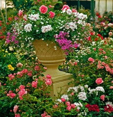 Fototapeta na wymiar Large colourful Flower Container with impressive display of mixed planting