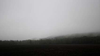 Fototapeta na wymiar beautiful mountains shrouded in morning fog, spring