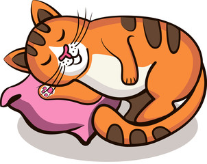 Red cat sleeps on a pink pillow.
Isolated object for printing on a t-shirt, mug. Eps 10