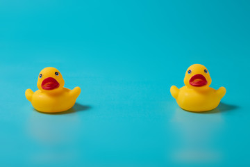 Yellow ducks far apart on blue background with space for copy above and below