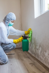 Worker of cleaning service removes the mold using spray bottle with mold removal products.