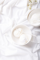 ice-cream scoops isolated on white. top view. monochrome