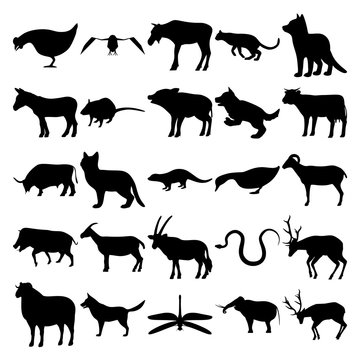 Set of 25 animals. Chicken, Crow, Moose, Cougar, Dog, Donkey, Rat, Pig, Cow, Bull, Fox, Otter, Duck, Goat, Boar, Antelope, Snake, Deer, Dragonfly, Elephant.