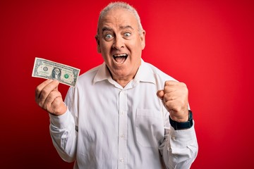 Middle age hoary man holding one dollar banknote over isolated red background screaming proud and celebrating victory and success very excited, cheering emotion