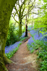 A bluebell wood in Spring with oil paint effect
