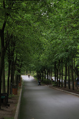 walk in a beautiful park