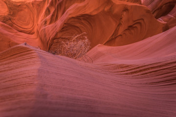 Obraz premium Lower Antelope Canyon, Arizona, US. In the heart of Lower Antelope Calyon