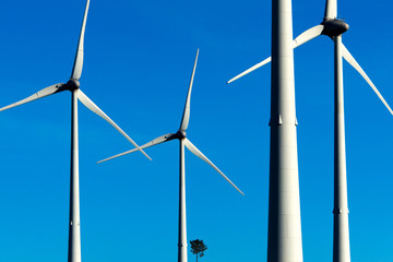 Windmill Garden