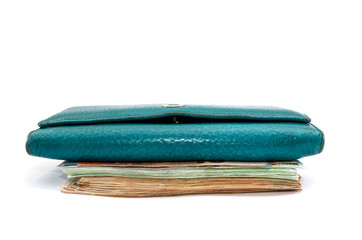 female wallet on the wall of euro banknotes isolated on a white background.