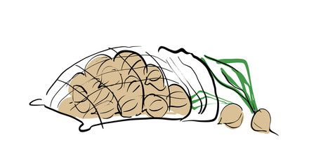 Fresh crop of onions in a mesh bag