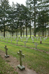 Cemetry. Graveyard at Merksplas Colony. Wortel Colony. Belgium. Thombstones.