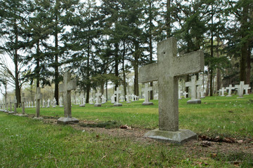 Cemetry. Graveyard at Merksplas Colony. Wortel Colony. Belgium. Thombstones.