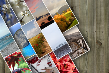 four seasons collage, planet earth life cycle concept