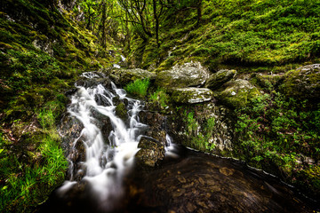 Woodland waterfall