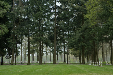 Fototapeta na wymiar Cemetry. Graveyard at Merksplas Colony. Wortel Colony. Belgium.