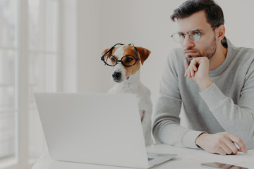 Serious concentrated male freelancer poses in coworking space together with jack russell terrier dog, surf internet, prepare business project together, work from home, wear glasses, read information