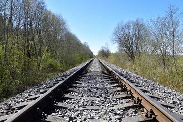 Between rails of a railroad in the forest with concrete sleepers.
