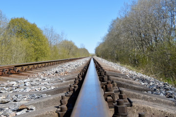 Low shot of the railroad in the forest.