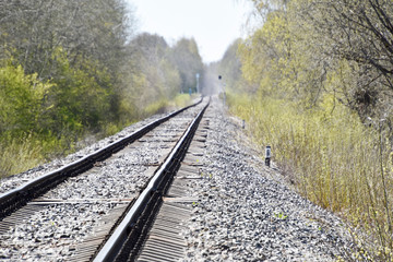 Obraz premium Railroad in the forest with concrete sleepers.