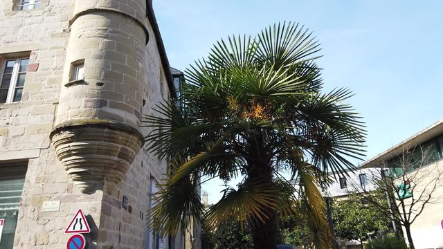 Brive la Gaillarde (Corr&egrave;ze, France) - Tour de Nesle