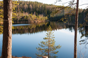 Pine trees reflected in the calm waters of a forest lake. Magical atmosphere of wild nature.