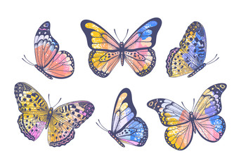 Vector hand drawn colorful set with pastel watercolor butterflies on white background - 347905382