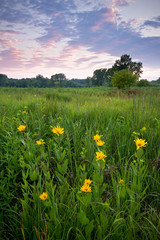 A sky full of of clouds tinged with sunset color drifts slowly over a Midwest prairie at the end of a summer day.
