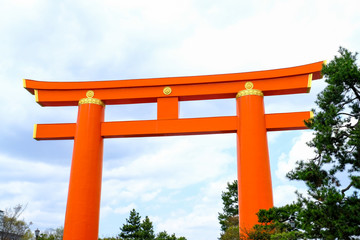Red torii gate view of on white clouds isolated sky,green pine trees in the city,Japan.
