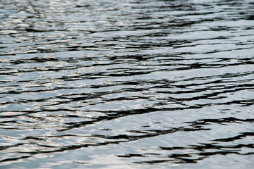 
Photo of water in a lake
