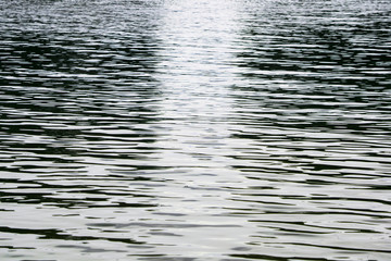
Photo of water in a lake